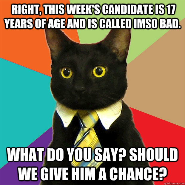  Right, this week's candidate is 17 years of age and is called Imso Bad. What do you say? Should we give him a chance?  Business Cat