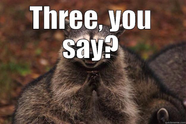 THREE, YOU SAY?  Evil Plotting Raccoon