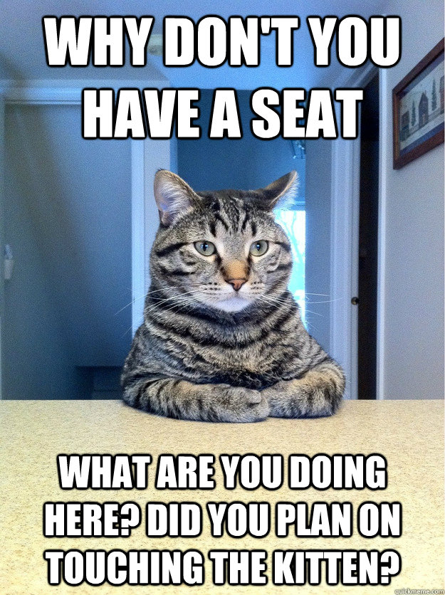 Why don't you have a seat What are you doing here? Did you plan on touching the kitten?  Chris Hansen Cat