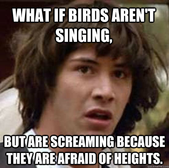 What if birds aren't singing,  but are screaming because they are afraid of heights.  conspiracy keanu