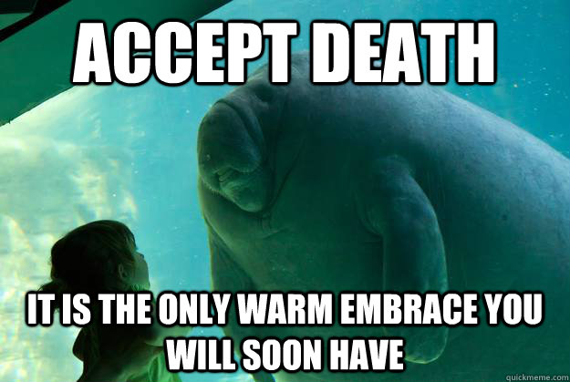 accept death it is the only warm embrace you will soon have - accept death it is the only warm embrace you will soon have  Overlord Manatee