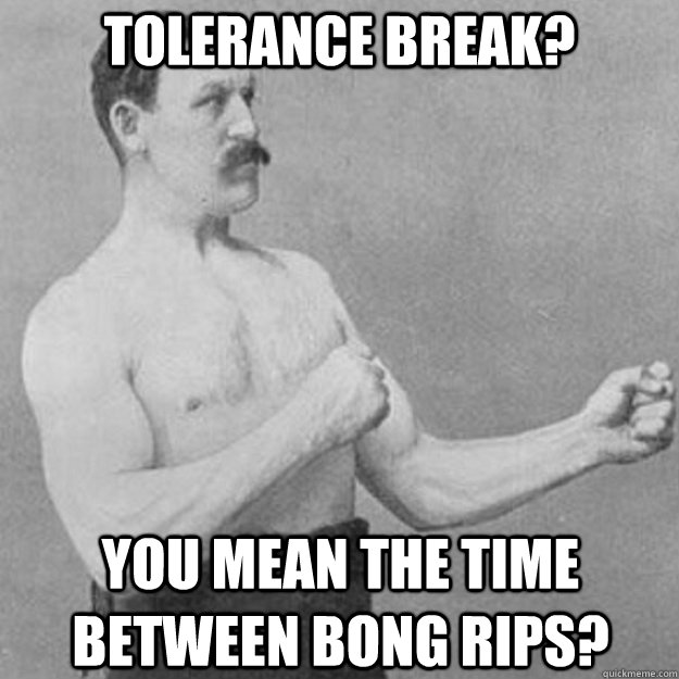 Tolerance break? you mean the time between bong rips?  overly manly man