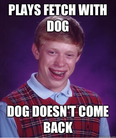 Plays fetch with dog Dog doesn't come back  Bad Luck Brian