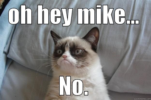 no cat. - OH HEY MIKE... NO. Grumpy Cat