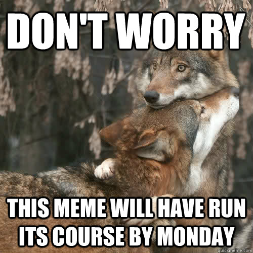 Don't worry this meme will have run its course by Monday - Don't worry this meme will have run its course by Monday  Comforting wolf