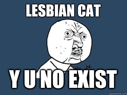 Lesbian cat y u no exist  Y U No