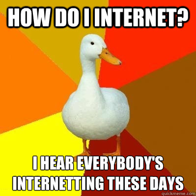 how do i internet? i hear everybody's internetting these days  Tech Impaired Duck