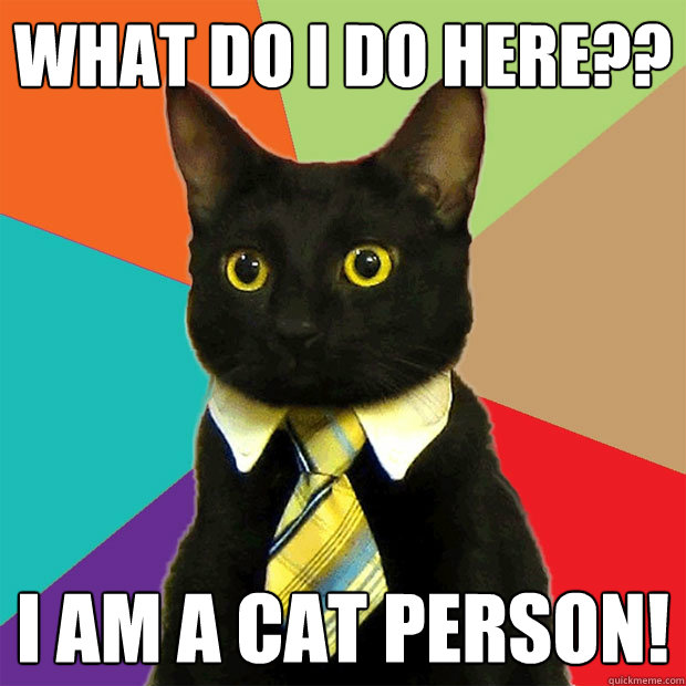 What Do i do here?? I am a cat person!  Business Cat