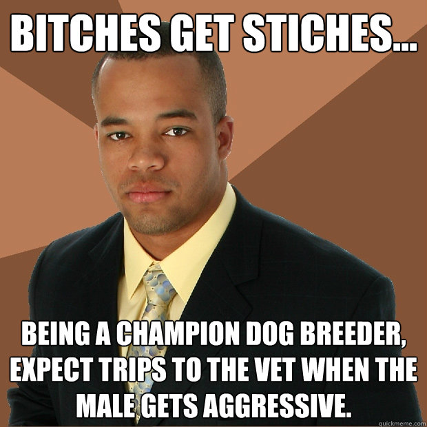 Bitches get stiches... Being a champion dog breeder, expect trips to the vet when the male gets aggressive.  Successful Black Man