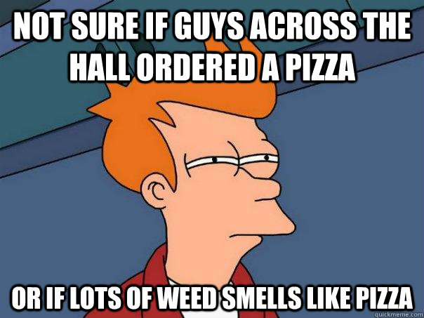 Not sure if guys across the hall ordered a pizza Or if lots of weed smells like pizza - Not sure if guys across the hall ordered a pizza Or if lots of weed smells like pizza  Futurama Fry