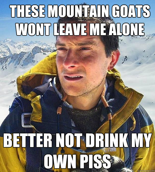 These mountain goats wont leave me alone better not drink my own piss - These mountain goats wont leave me alone better not drink my own piss  Best size bear grylls meme