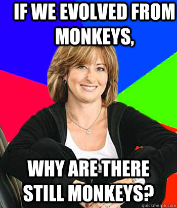 If we evolved from monkeys, why are there still monkeys? - If we evolved from monkeys, why are there still monkeys?  Sheltering Suburban Mom