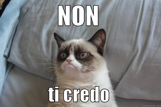 NON                TI CREDO               Grumpy Cat