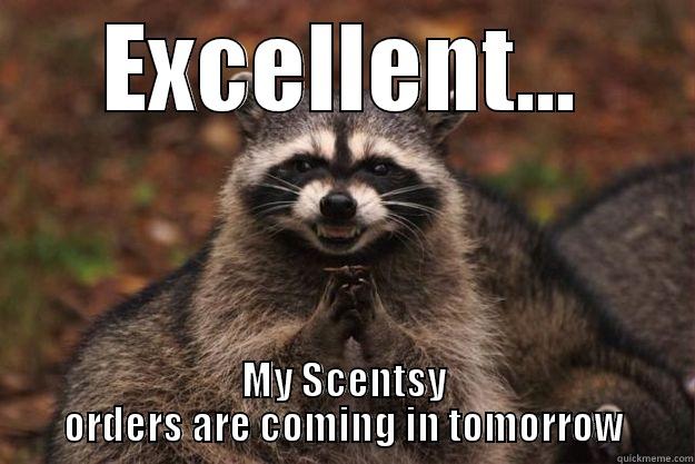 EXCELLENT... MY SCENTSY ORDERS ARE COMING IN TOMORROW Evil Plotting Raccoon