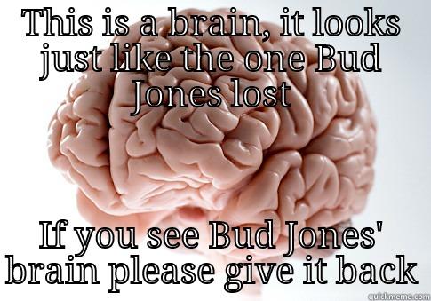 THIS IS A BRAIN, IT LOOKS JUST LIKE THE ONE BUD JONES LOST IF YOU SEE BUD JONES' BRAIN PLEASE GIVE IT BACK Scumbag Brain