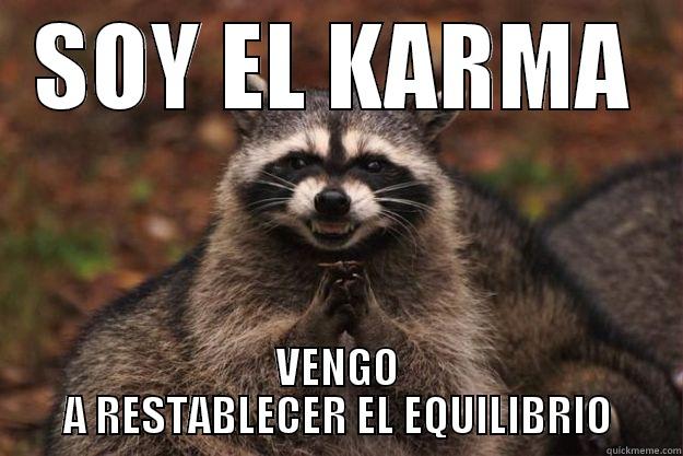 SOY EL KARMA VENGO A RESTABLECER EL EQUILIBRIO Evil Plotting Raccoon