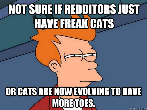 Not sure if Redditors just have freak cats Or cats are now evolving to have more toes.  Futurama Fry