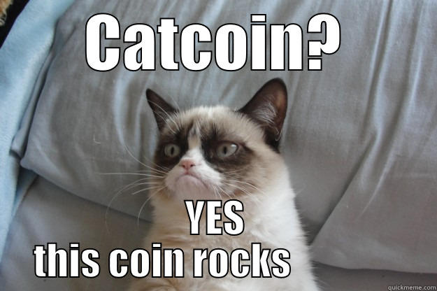 Grumpy discount cat coin