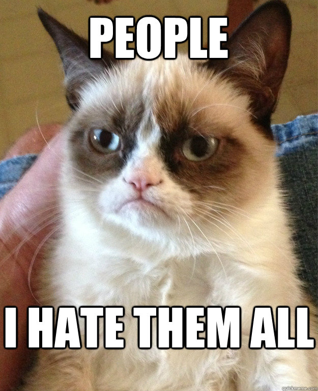 people i hate them all  Grumpy Cat