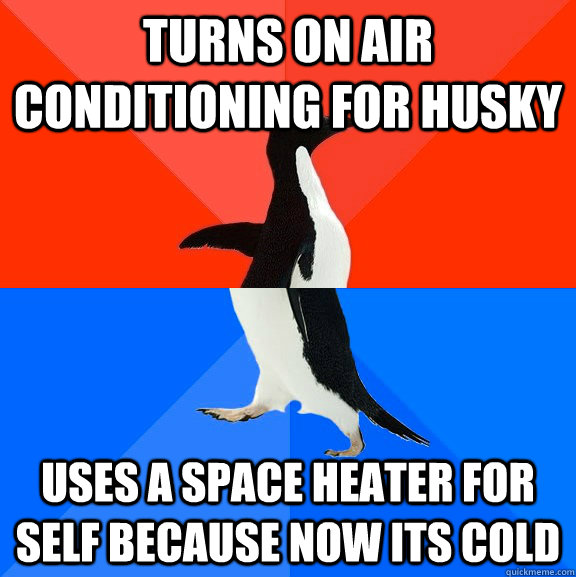 Turns on air conditioning for Husky Uses a space heater for self because now its cold - Turns on air conditioning for Husky Uses a space heater for self because now its cold  Socially Awesome Awkward Penguin