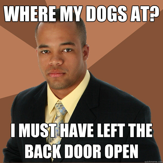 where my dogs at? i must have left the back door open  Successful Black Man