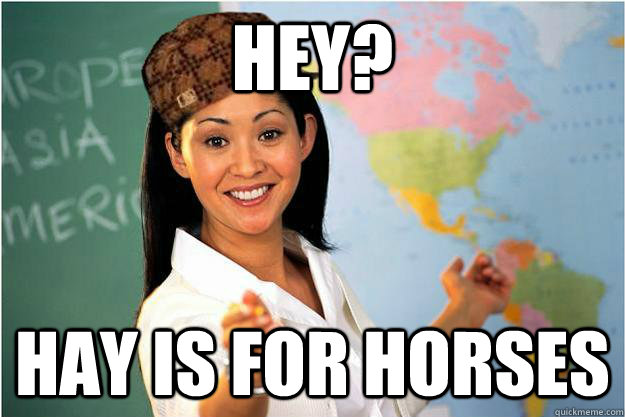 hey? hay is for horses  Scumbag Teacher