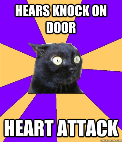 HEARS KNOCK ON DOOR HEART ATTACK - HEARS KNOCK ON DOOR HEART ATTACK  Anxiety Cat