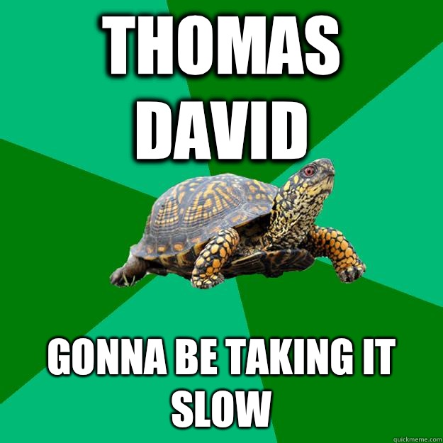 Thomas David Gonna Be Taking It Slow  Torrenting Turtle