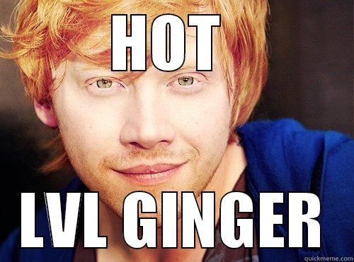 HOT  LVL GINGER Misc