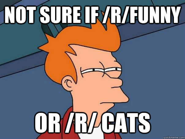 Not sure if /r/funny  or /r/ cats   Futurama Fry