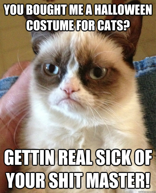 you bought me a Halloween costume for cats? Gettin real sick of your shit master!  Grumpy Cat