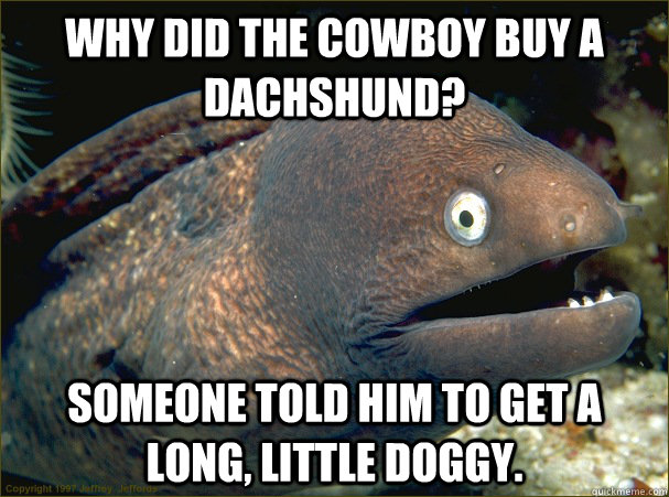 Why did the cowboy buy a dachshund? Someone told him to get a long, little doggy.  Bad Joke Eel