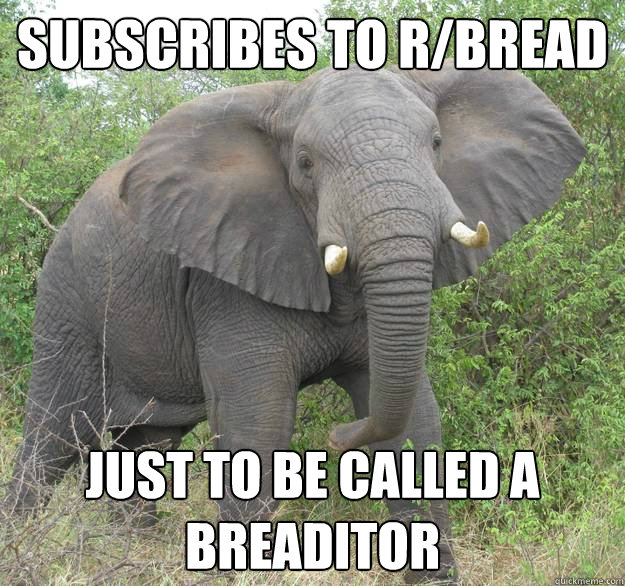 Subscribes to r/bread Just to be called a breaditor  Elaborate Joke Elephant
