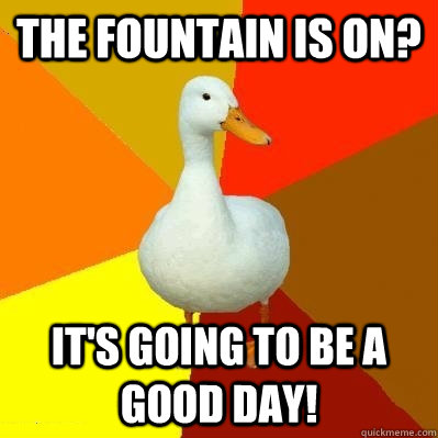 The Fountain is on? It's Going to be a good day! - The Fountain is on? It's Going to be a good day!  Tech Impaired Duck