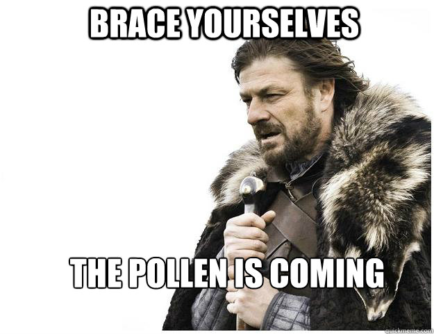 Brace yourselves THE POLLEN IS COMING - Brace yourselves THE POLLEN IS COMING  Imminent Ned