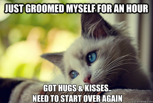 Just groomed myself for an hour got hugs & kisses..
Need to start over again  First World Problems Cat