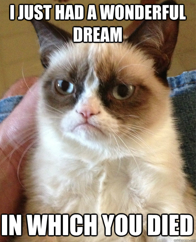 I just had a wonderful dream In which you died  Grumpy Cat