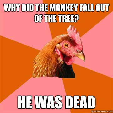 Why did the monkey fall out of the tree? He was dead  Anti-Joke Chicken