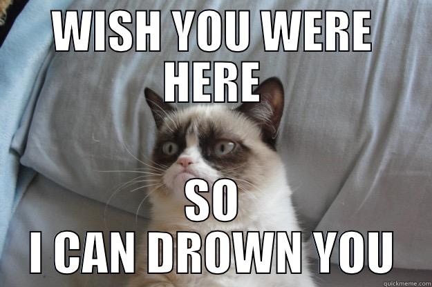 WISH YOU WERE HERE SO I CAN DROWN YOU Grumpy Cat