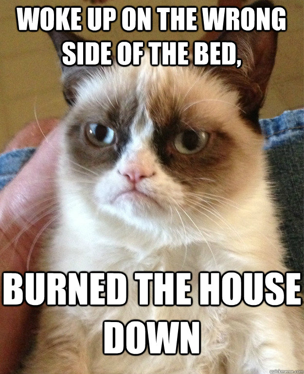 woke up on the wrong side of the bed,  burned the house down   Grumpy Cat