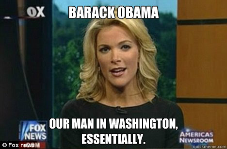 Barack Obama our man in Washington, 
Essentially.  Megyn Kelly