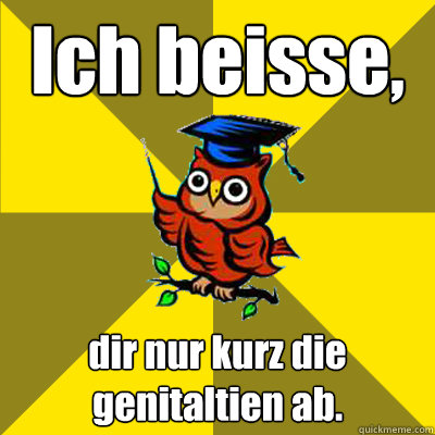 Ich beisse, dir nur kurz die genitaltien ab.  Observational Owl