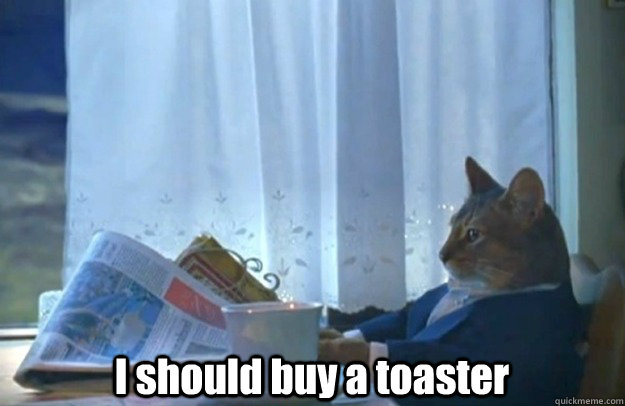  I should buy a toaster  Sophisticated Cat