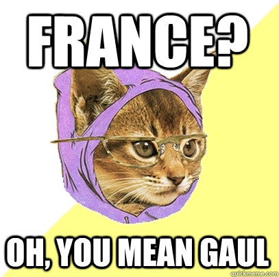 France? Oh, you mean Gaul - France? Oh, you mean Gaul  Hipster Kitty