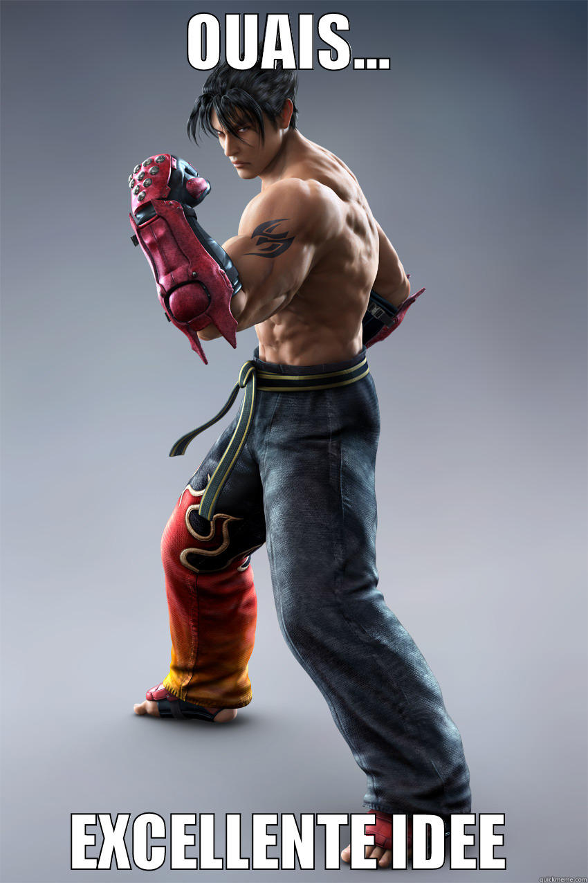 Jin Kazama Approves and Thinks it's cool - OUAIS... EXCELLENTE IDEE Misc