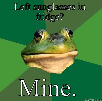 LEFT SUNGLASSES IN FRIDGE? MINE. Foul Bachelor Frog