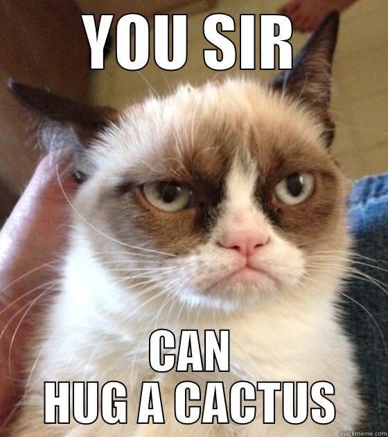 You, sir... - YOU SIR CAN HUG A CACTUS Misc