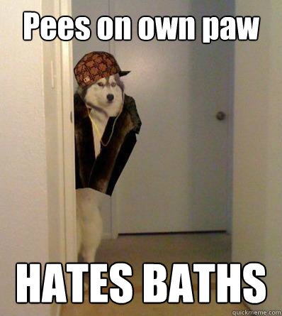 Pees on own paw HATES BATHS  Scumbag dog