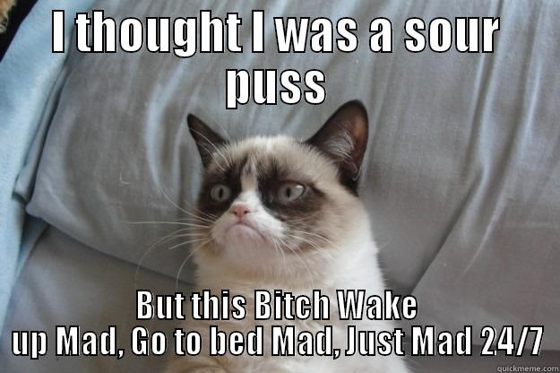 Bitter B!tch Syndrome - I THOUGHT I WAS A SOUR PUSS BUT THIS BITCH WAKE UP MAD, GO TO BED MAD, JUST MAD 24/7 Grumpy Cat