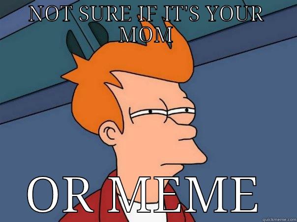 NOT SURE IF IT'S YOUR MOM OR MEME Futurama Fry